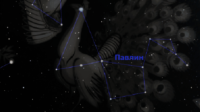 Созвездие Павлин
