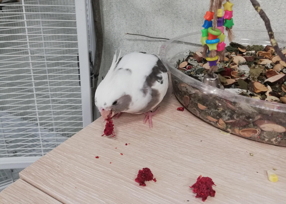 Фото автора.