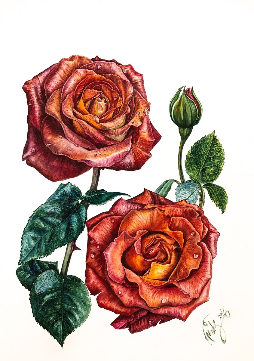 букеты из 21 розы