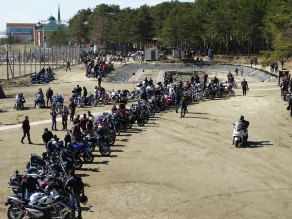 Фото взято из свободных источников