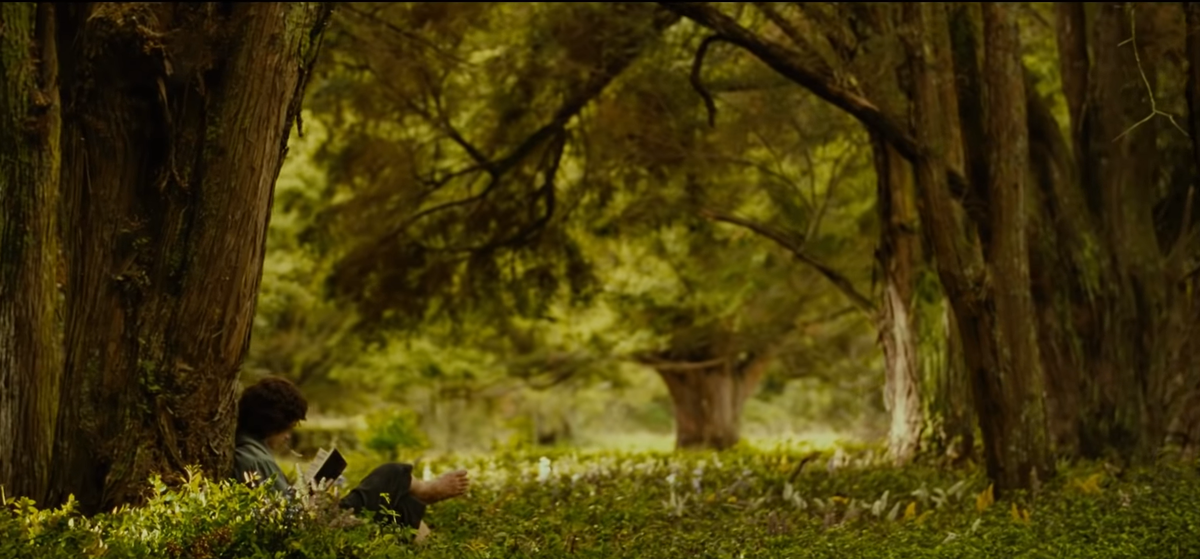 Кадр из фильма "Властелин Колец: Братство Кольца