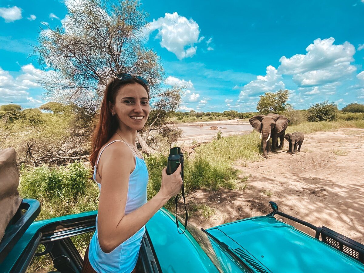 Слоны в сафари в Танзании