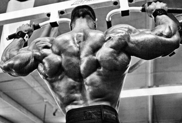 Описание тренировок