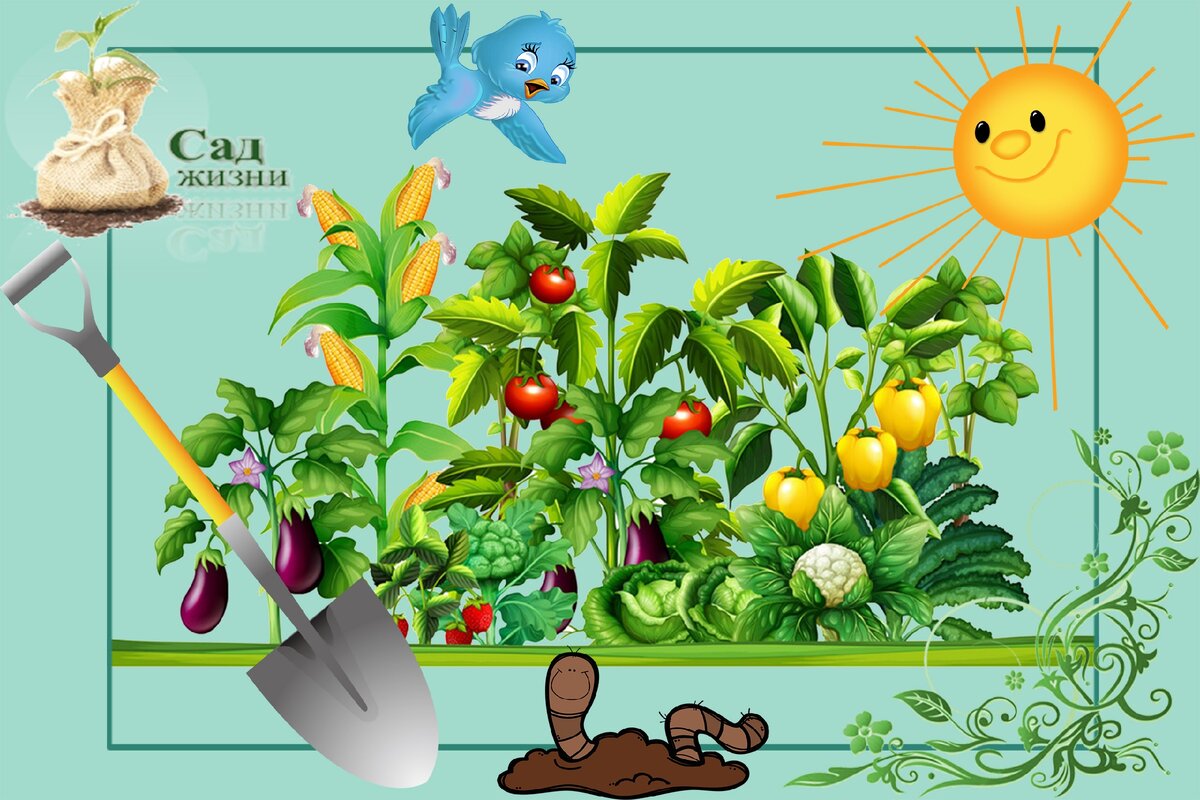 Копать или не копать огород?