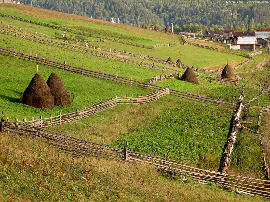 Сервис Яндекс.Картинки