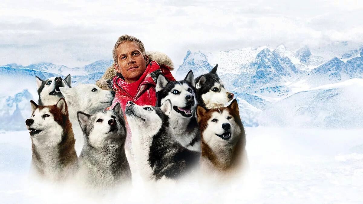 Picture background