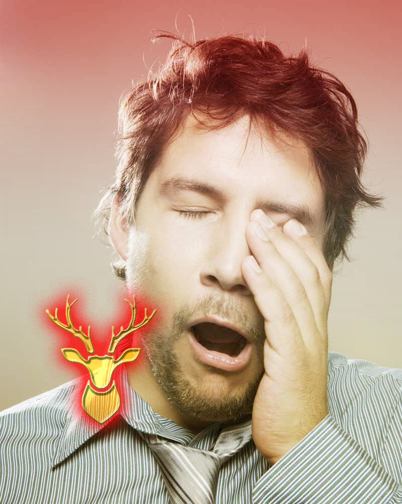 фото из открытых источников Яндекса