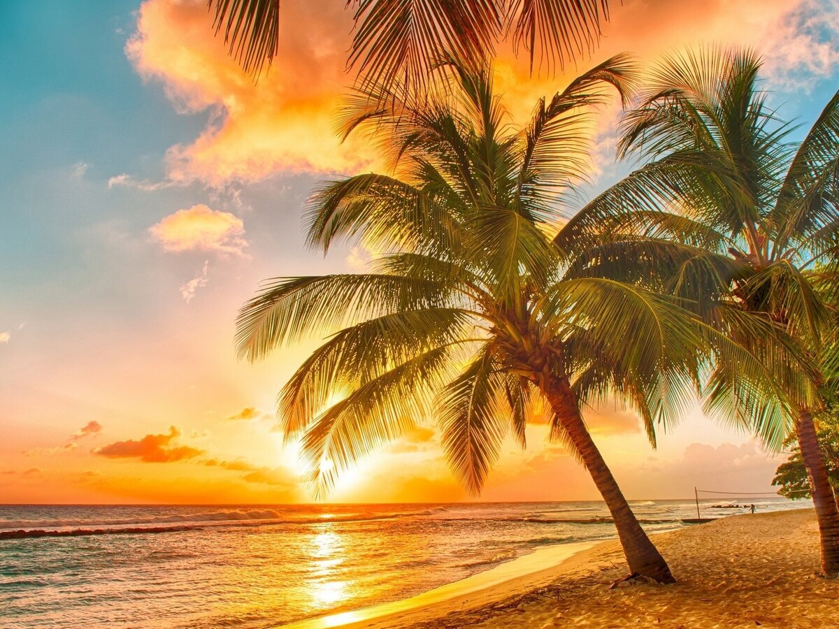 Источник: яндекс.фото 