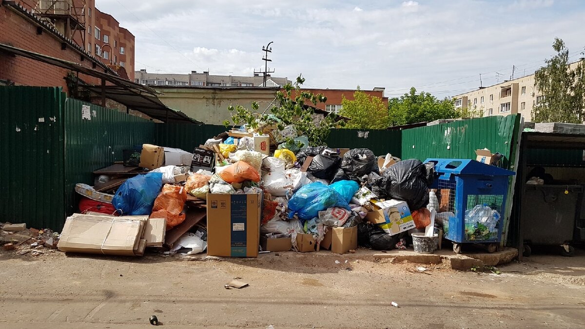 Как разделяют мусор в нашем дворе.