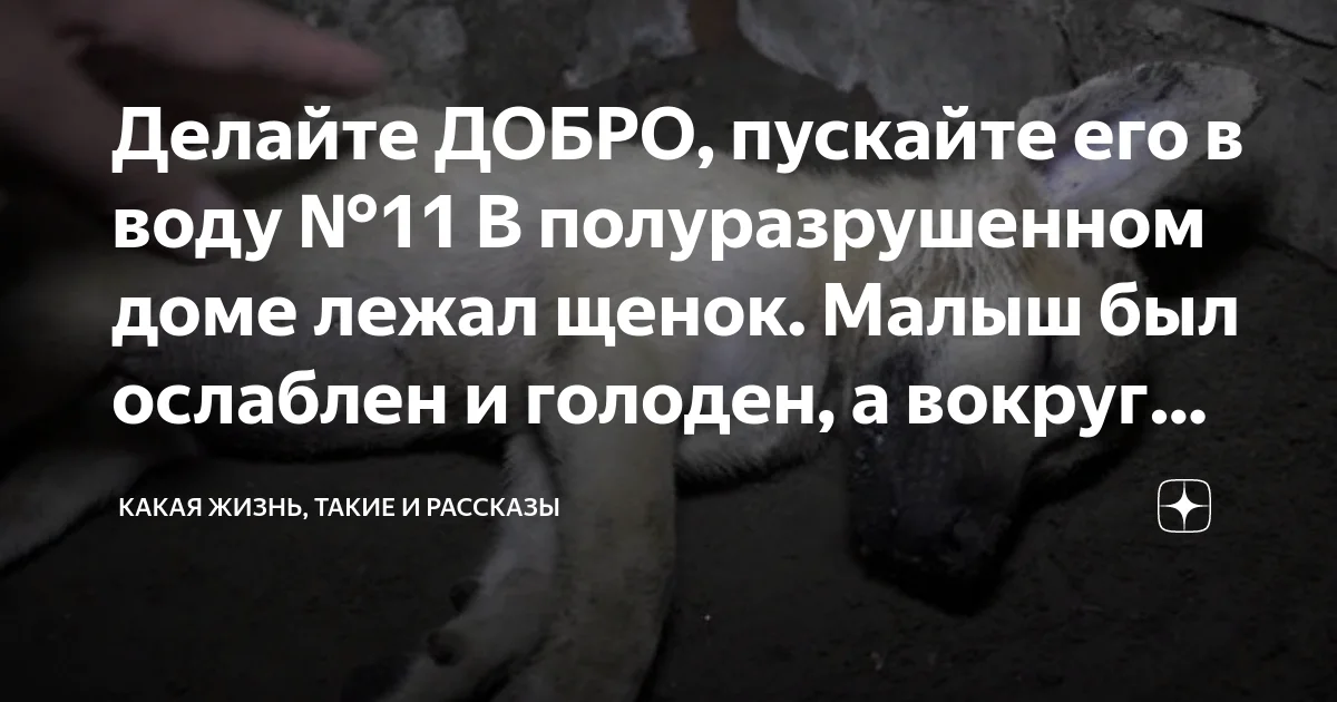 Очень добрая публикация.