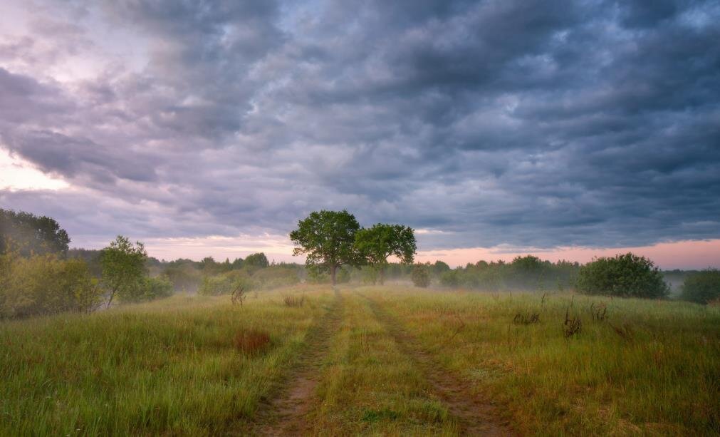 Фото — yandex.ru
