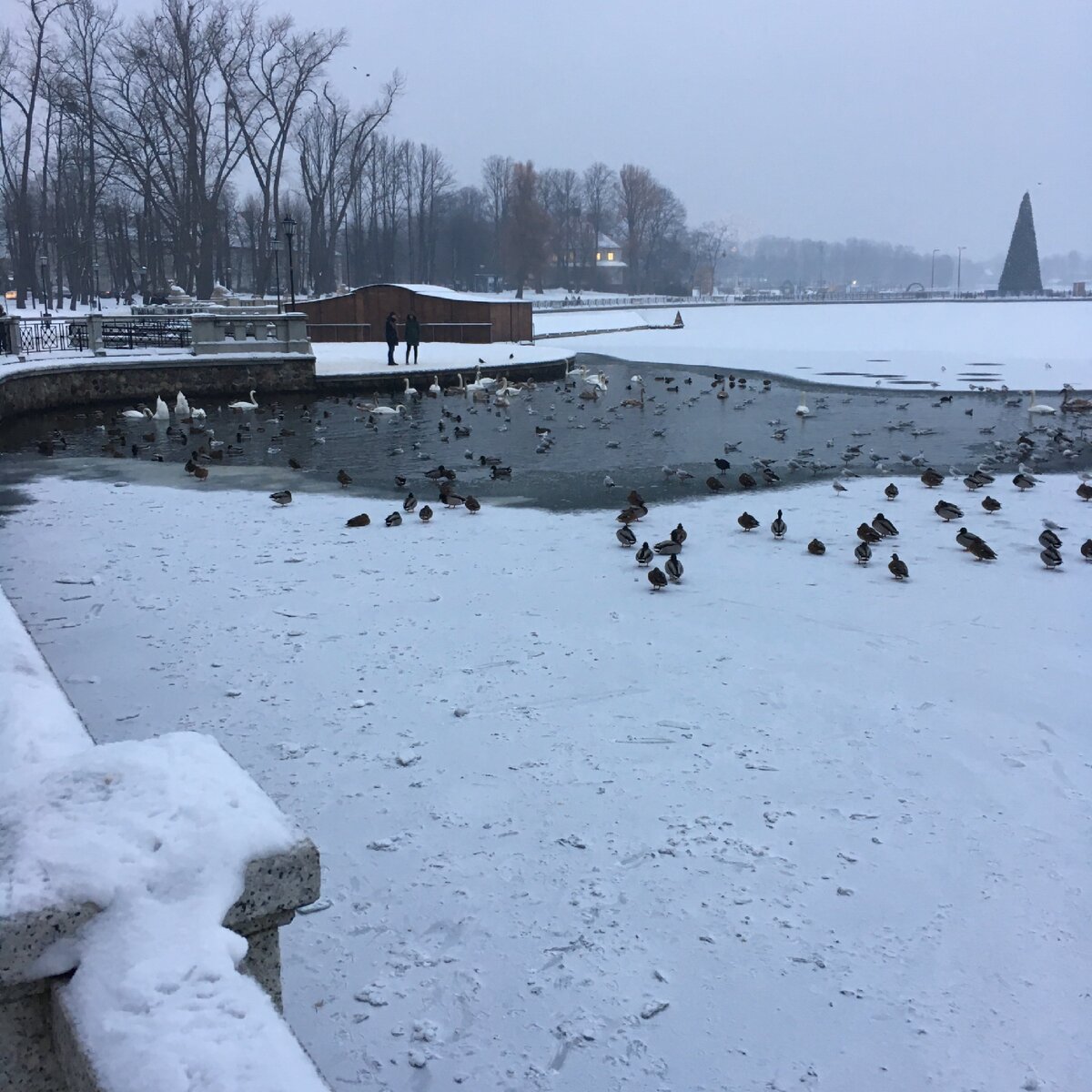 Калининград 