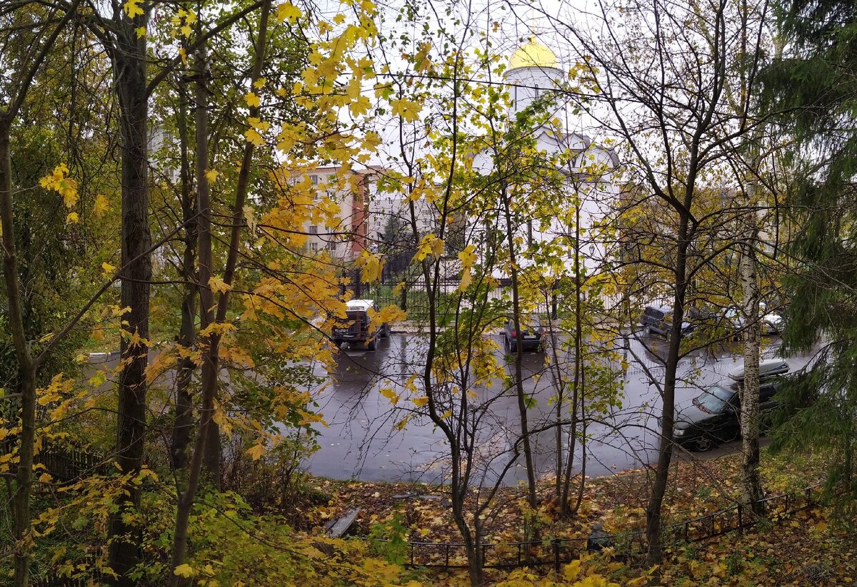 Вид с балкона сейчас, а в тот день было солнечно и сухо.