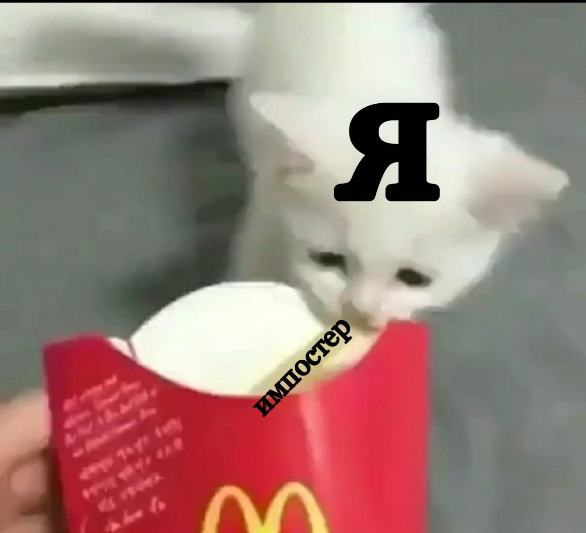 Когда за 2 часа игры ни разу не был импостером