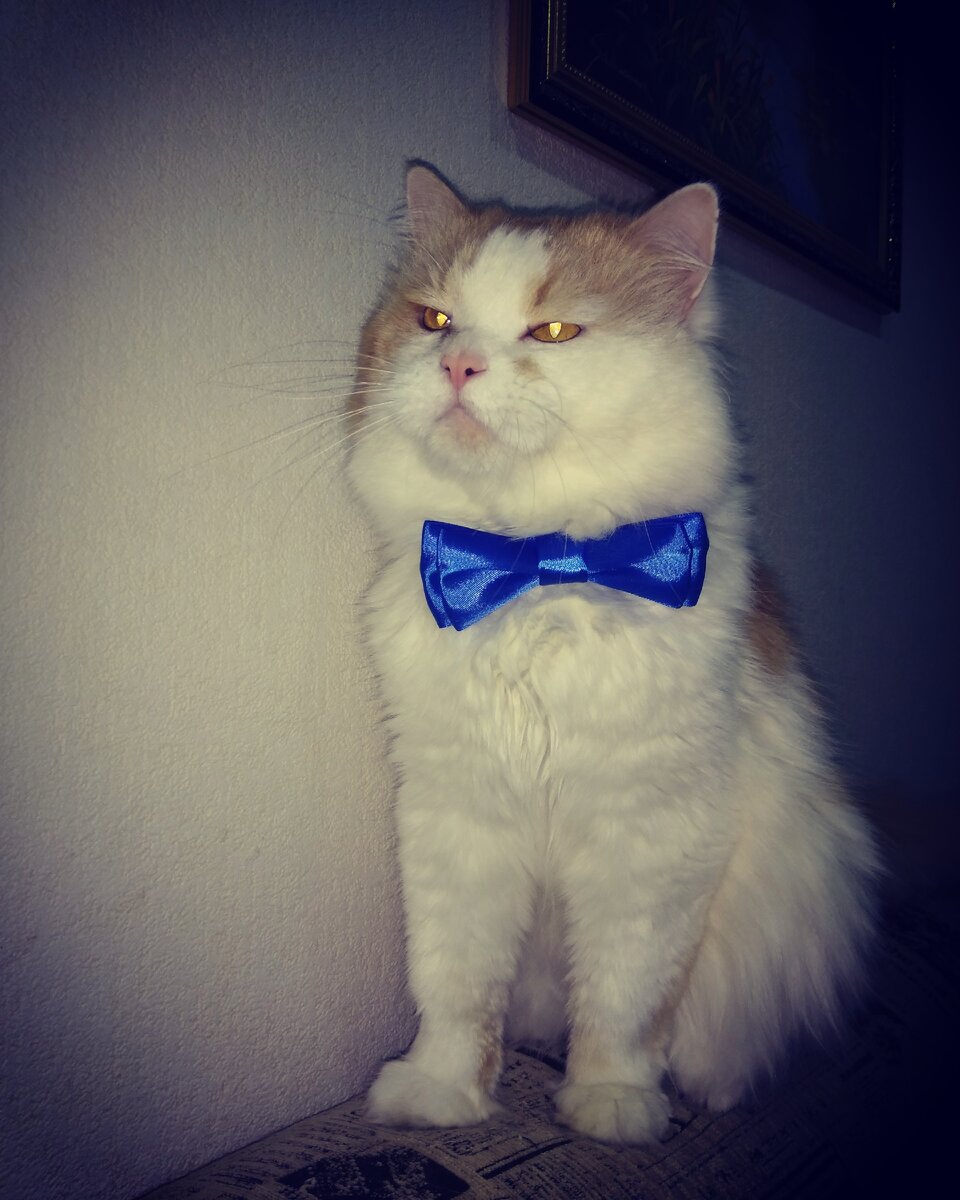 Личный архив