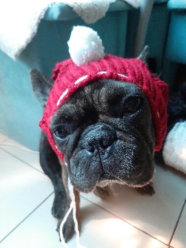 фото с https://aliexpress.ru/