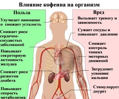 Картинка с сайта http://www.f-med.ru/diets/Caffeine_diet.php
