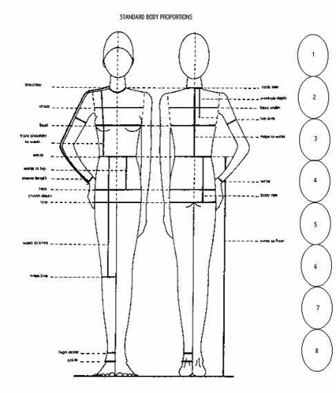 источник https://wkdesigner.wordpress.com/2007/09/15/pattern-drafting-by-height/body-proportions/
