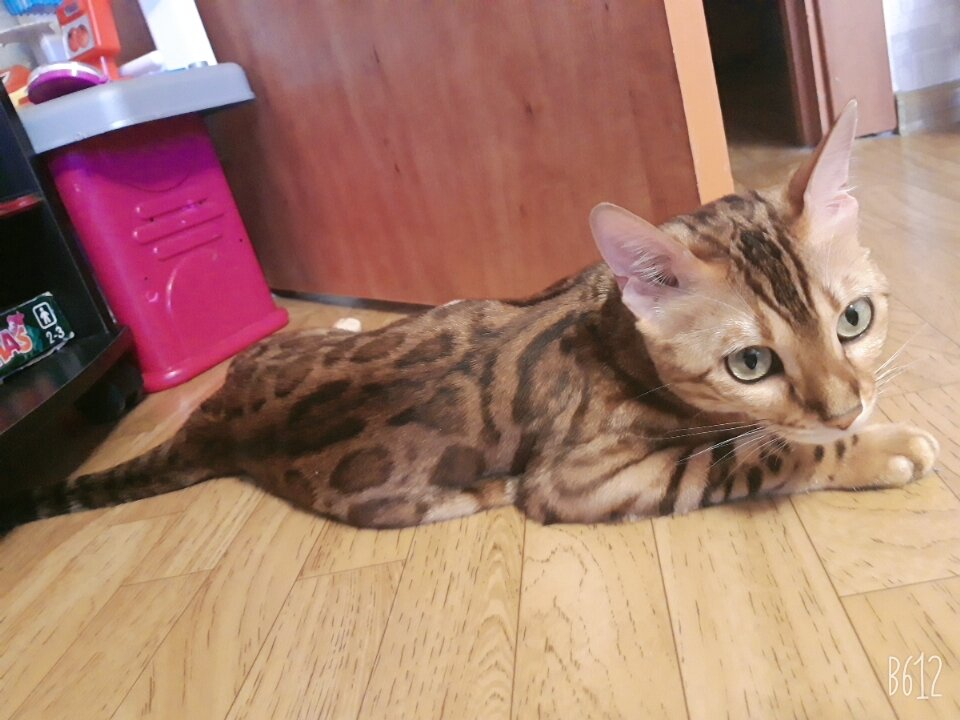 Очень сложно сделать снимок с Леоной она постоянно в движение.