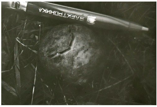 Рис. 2 Следы зубов при надкусе картофелины Фото автора отчета