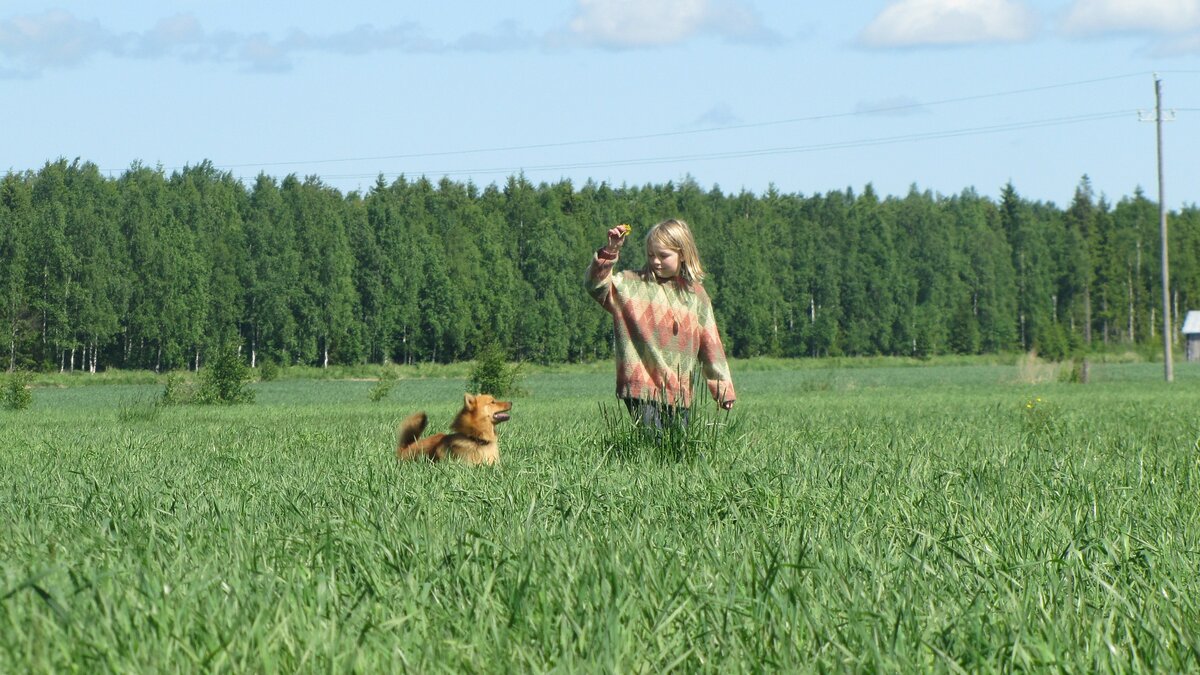 картинка с сайта pixabay