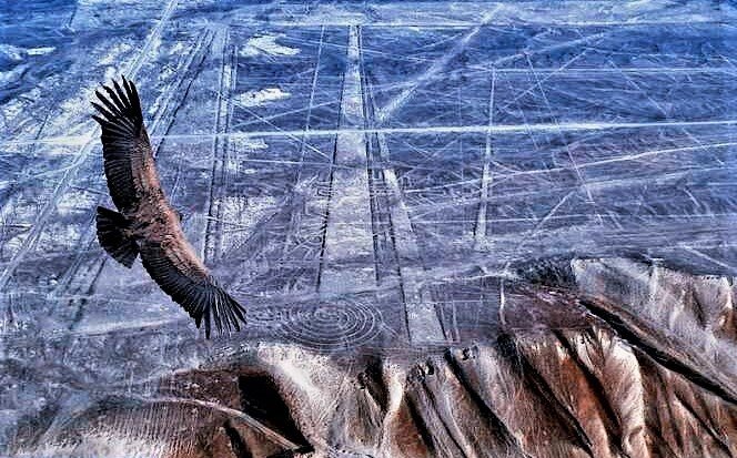 пришельцы , НЛО, загадки, тайны, 