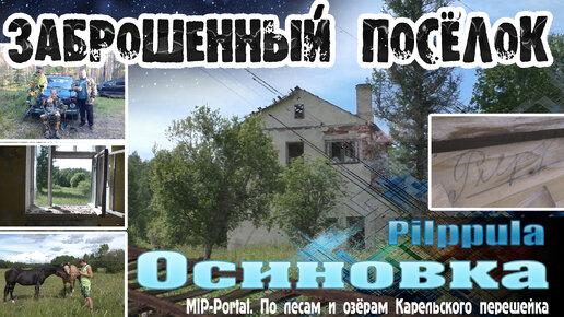 Заброшенный посёлок Осиновка - деревня Pilppula. Сельсовет, лошади и находки с металлодетекторами