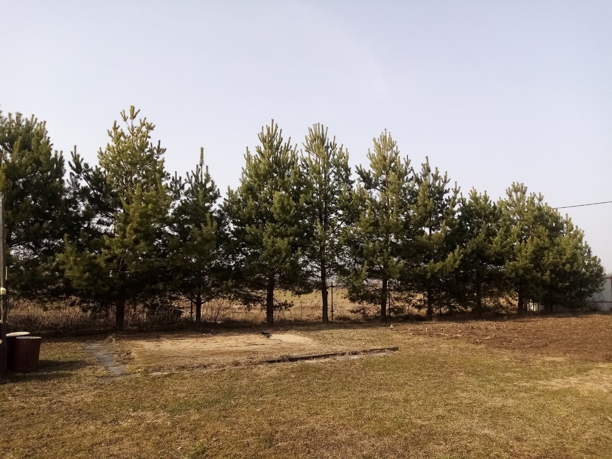 Место под бассейн, осталось убрать сорняки и подсыпать песочка.