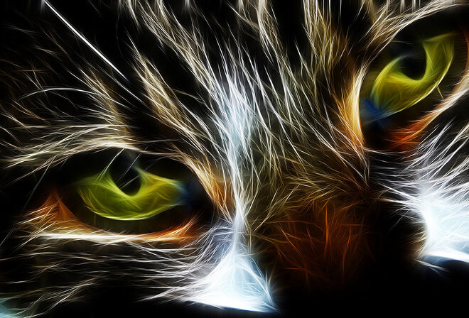 Фото взято из открытых  источников.