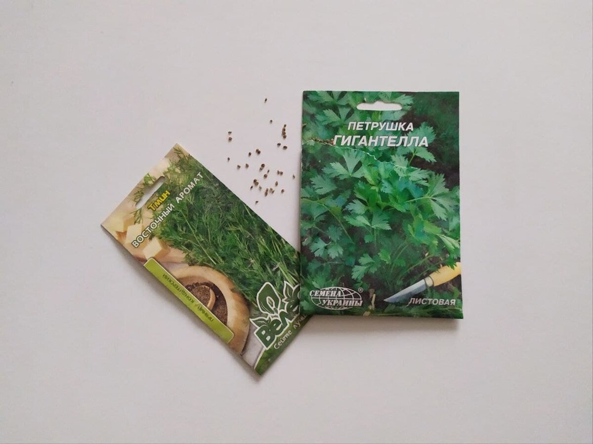 Согласно народным приметам, следует успеть все посеять и посадить на огороде еще до Пятидесятницы