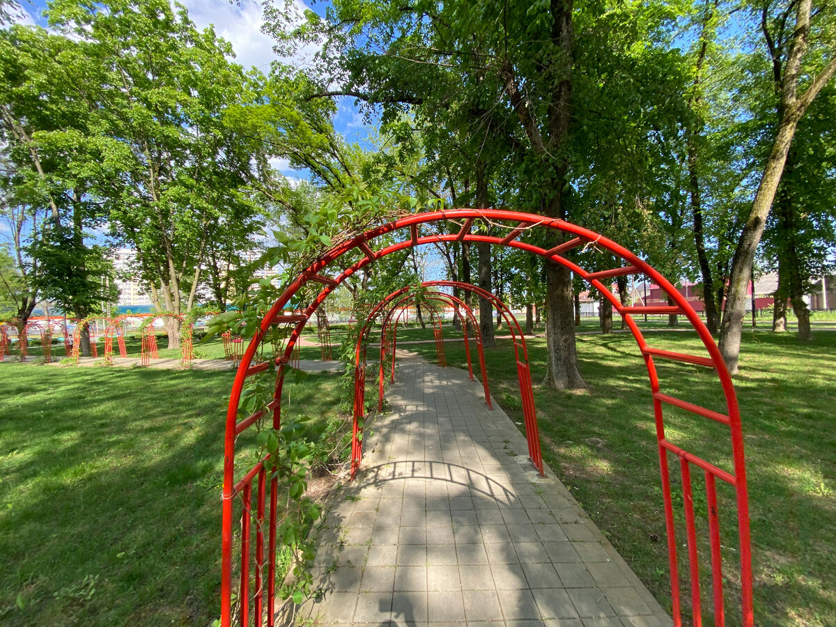 Обычный парк в Краснодаре