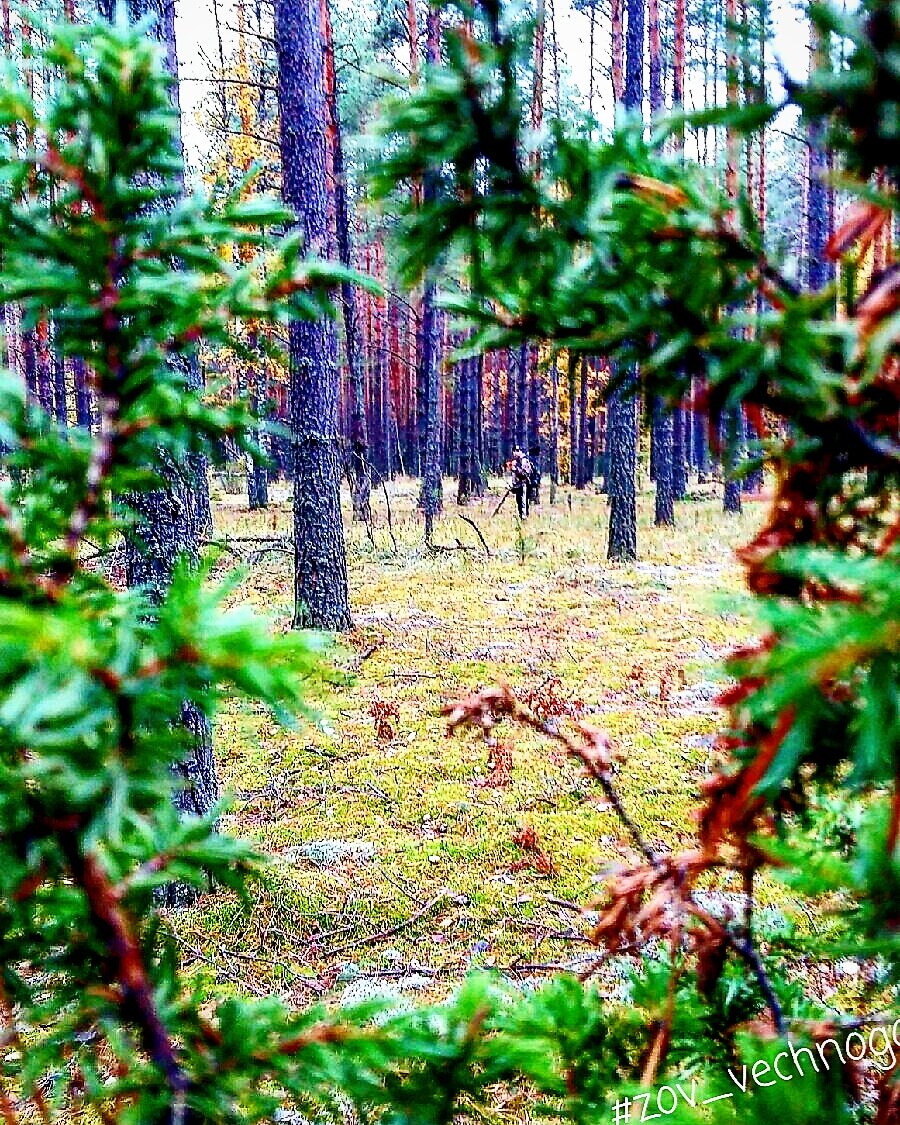 Фото "Зов вечного".