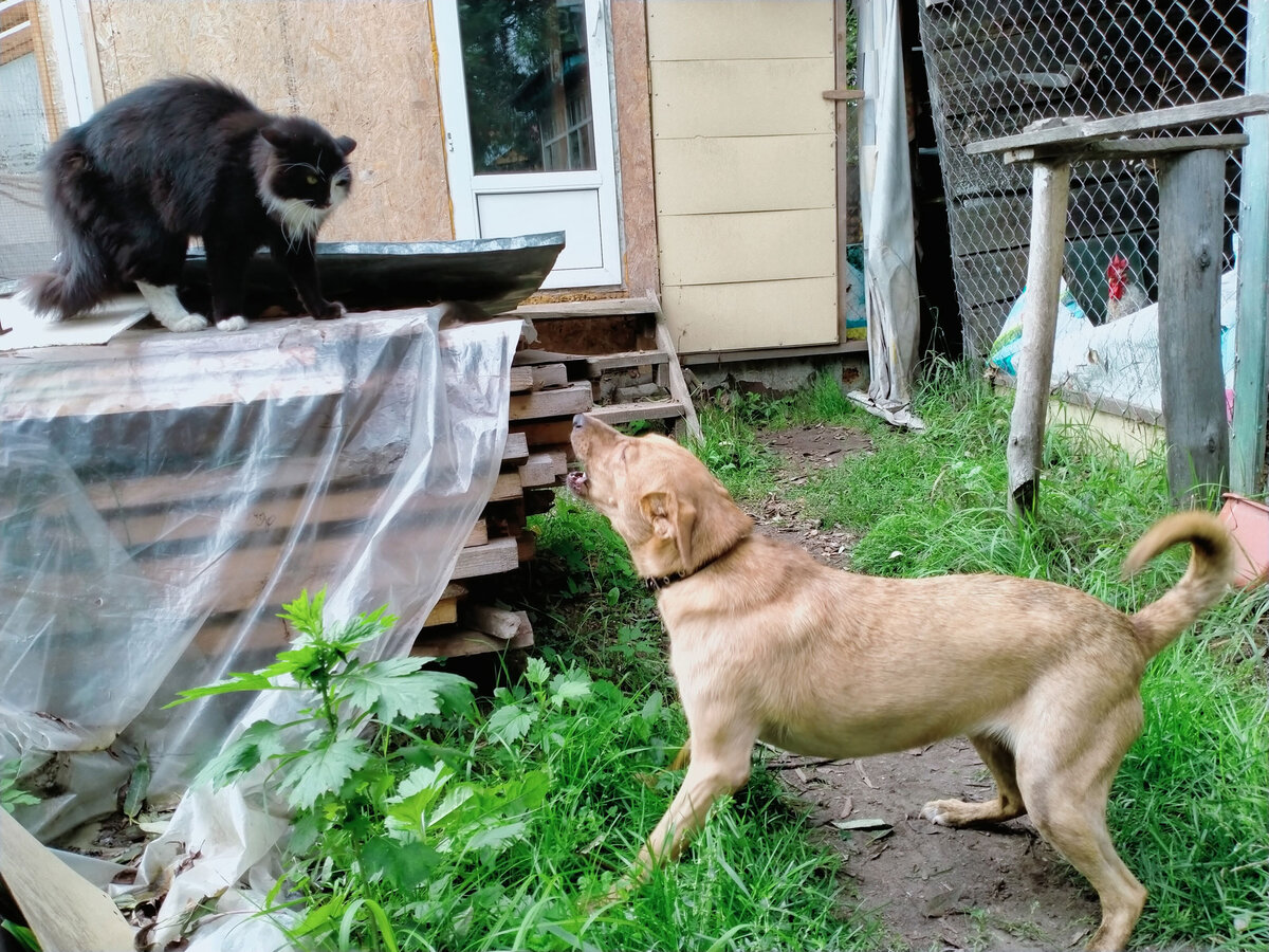 Дина и Понтий Пилат