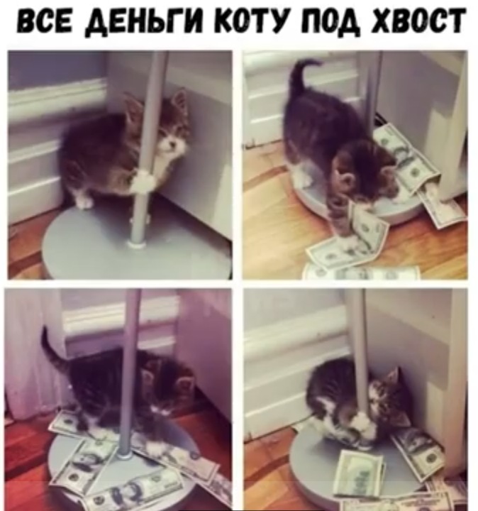 1.Блин а я тружусь для тех кто меня даже не смотрит а тут вот!