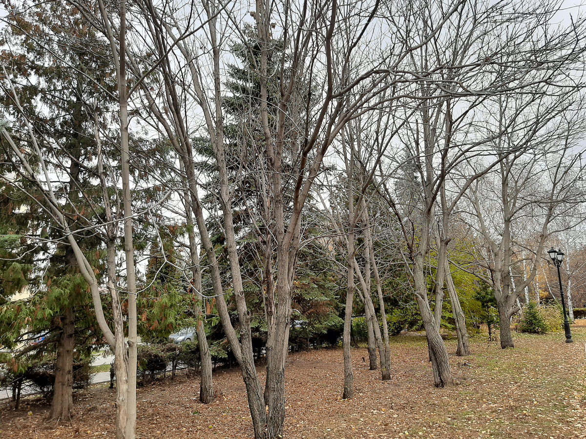 Фотография из личного архива автора