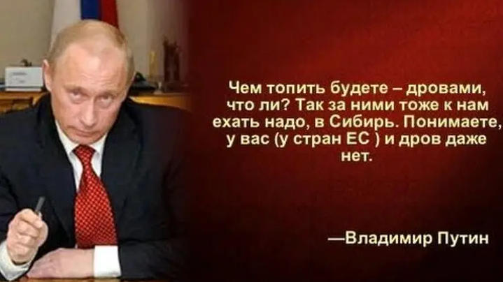 Через 10 лет до Европы дошло - с дровами у нее действительно напряженка