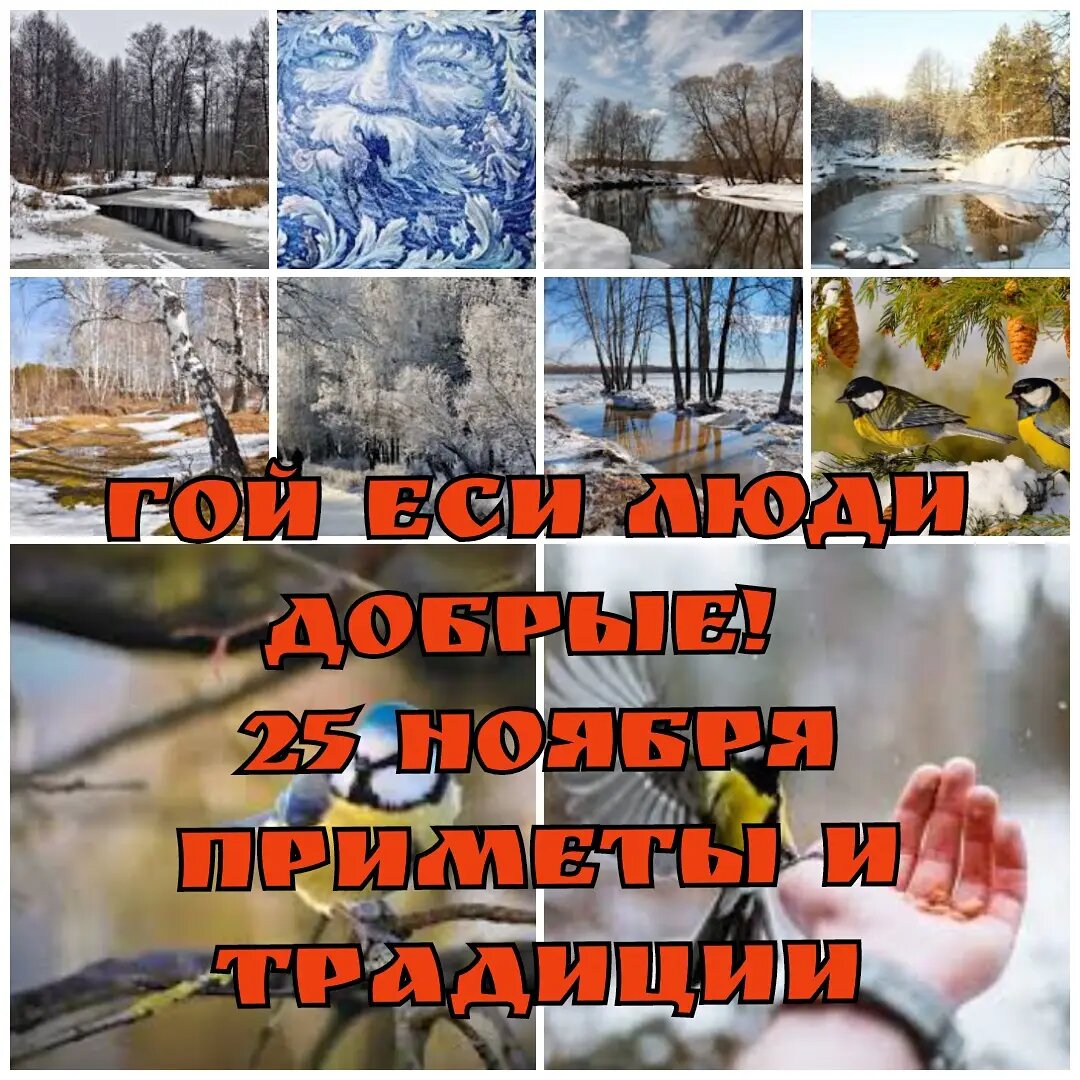 8 ноября приметы