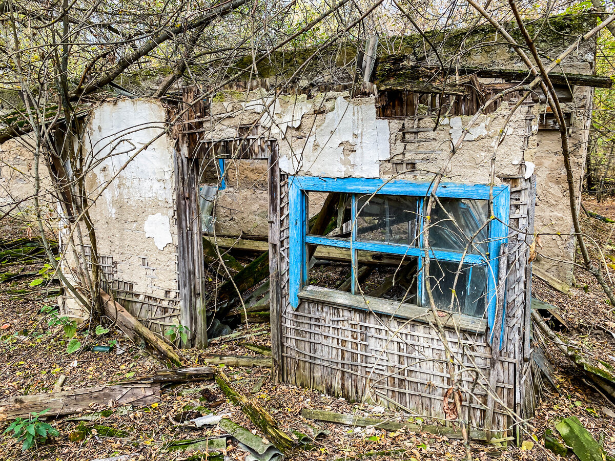 Дома в лесу из кирпичей