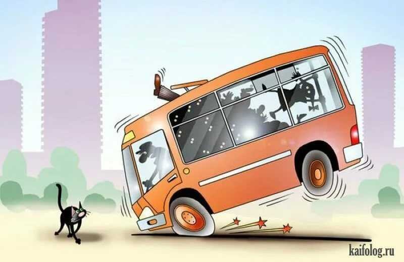 Из свободных источников. 