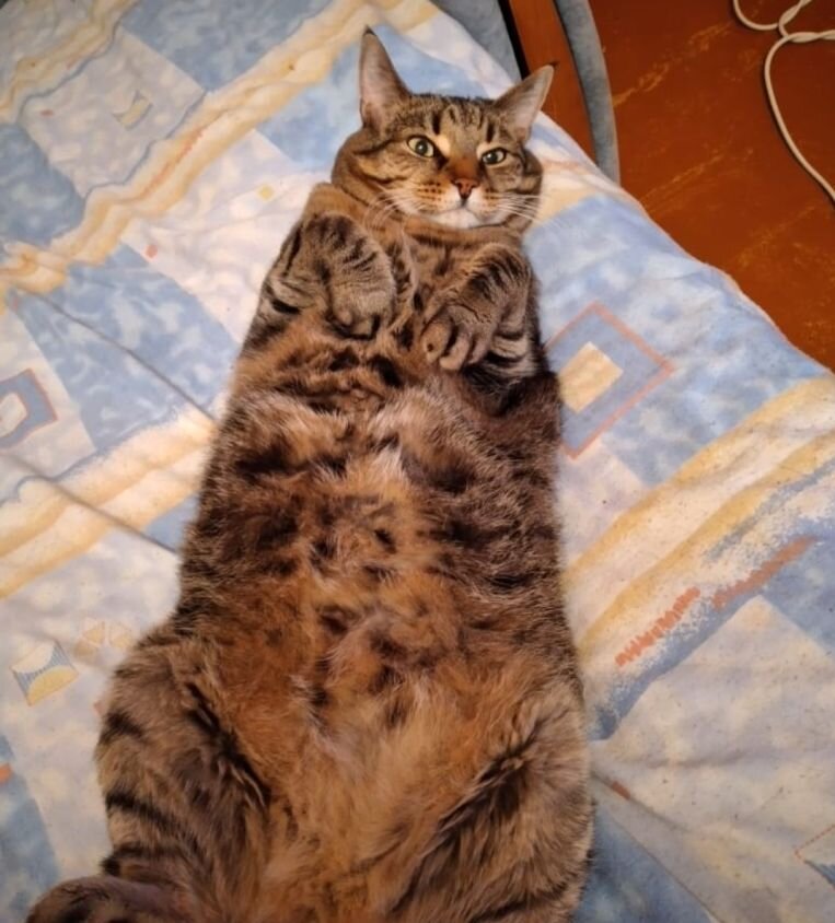 -2