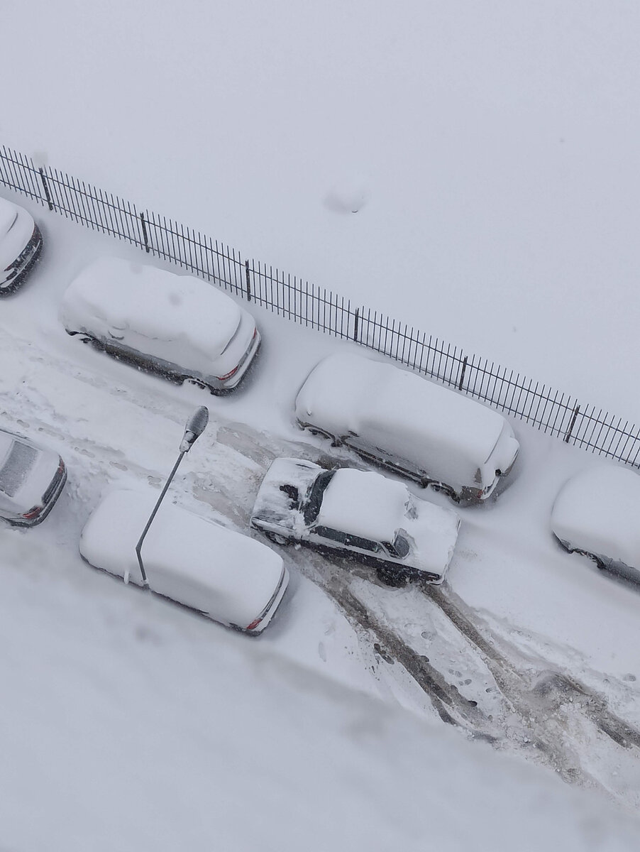 Снегопад 23 января, Краснодар