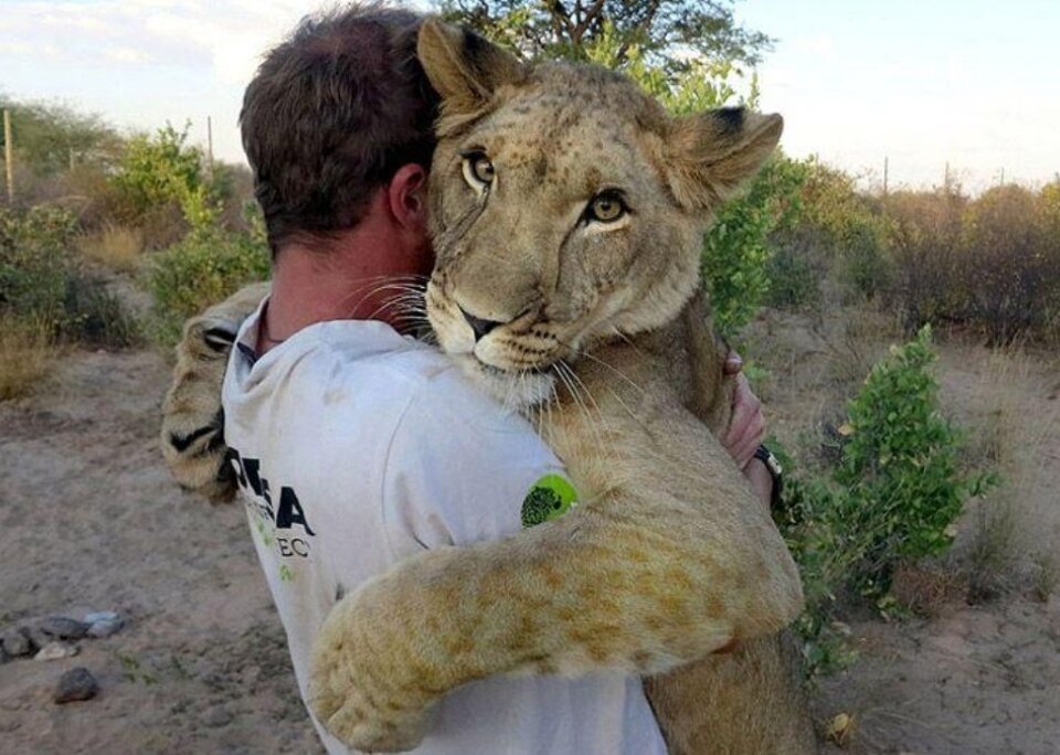 Только посмотрите, сколько преданности в этих глазах