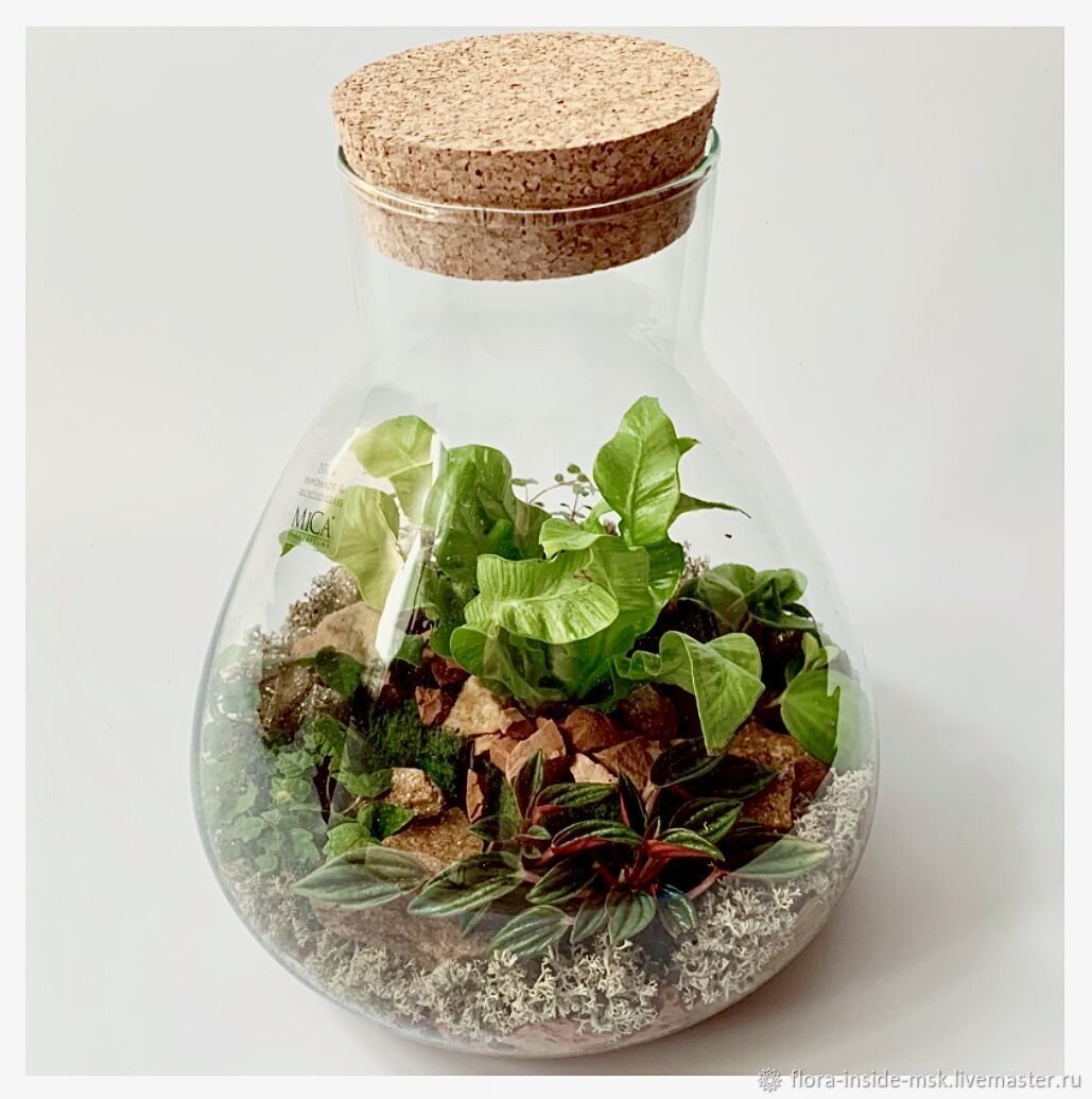 Фото из открытых источников.