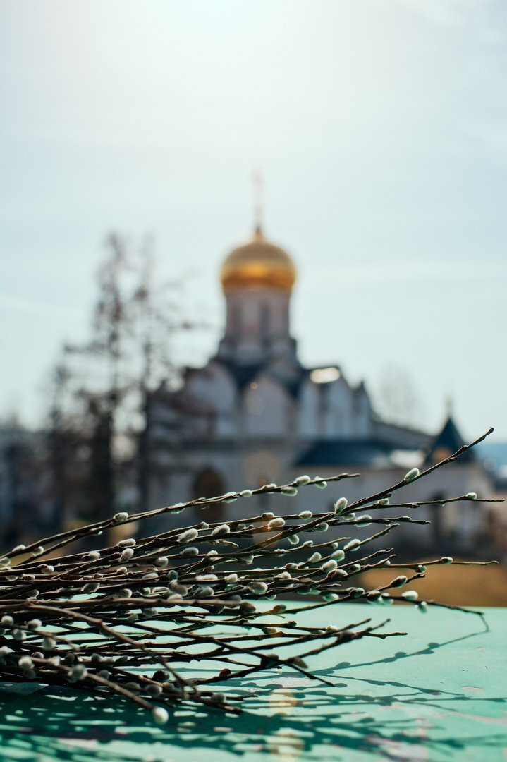 Фото яндекс картинки