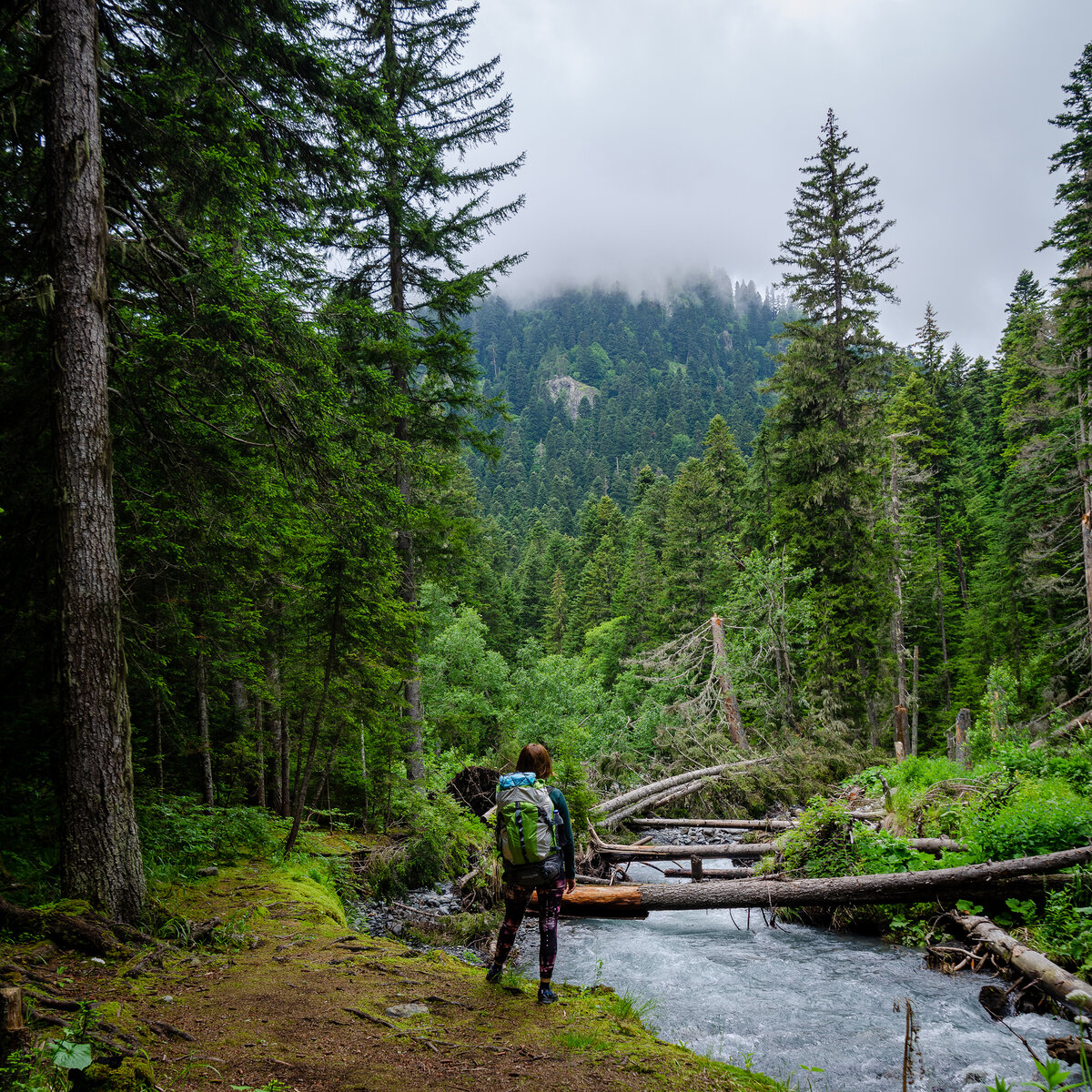 Место стоянки река Чистая