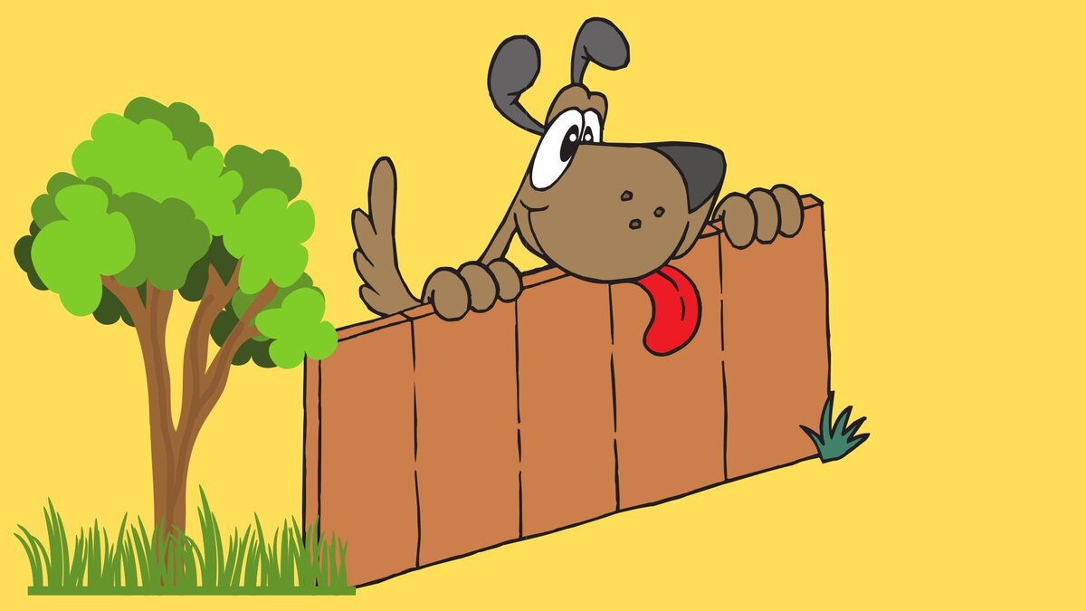 Собака за забором