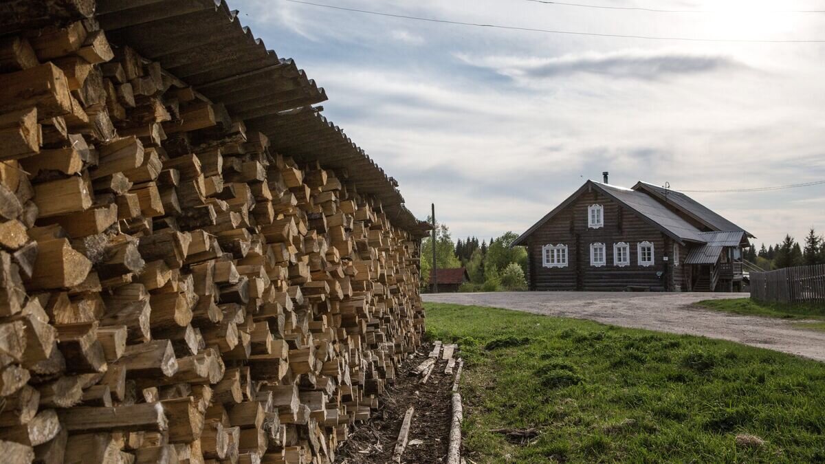 Какие дрова лучше? Опыт Лерыча Дзен