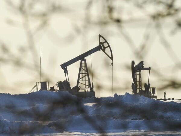   © РИА Новости Максим Богодвид