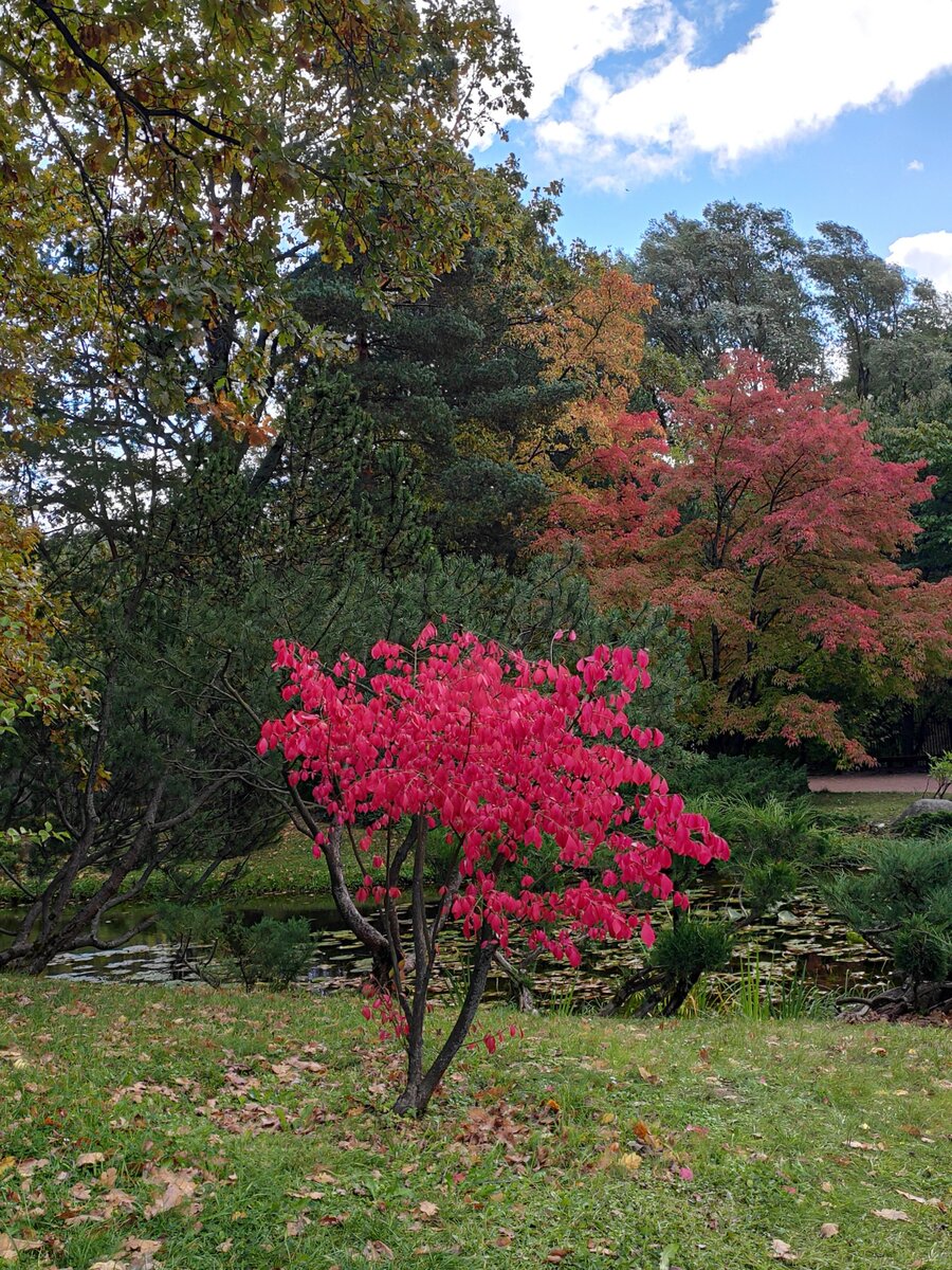  1. Пламя костра обжигает наш взор. Но не руки. 