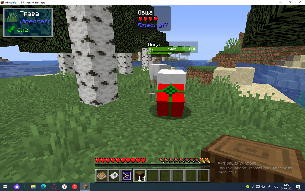 овца с шапкой